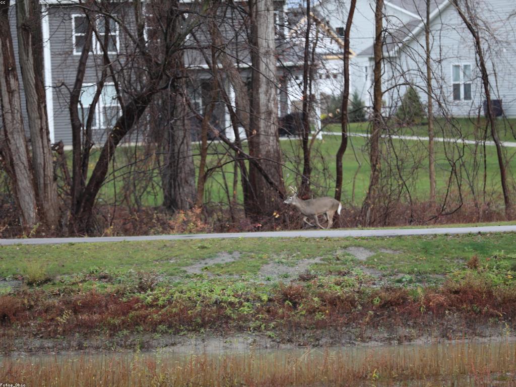 យុទ្ធសាស្ត្រសម្រាប់ការលេងដោយមានភាពសប្បាយរីករាយ