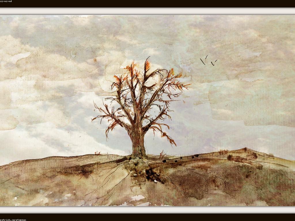 ការយល់ដឹងអំពីស្លុតហ្វីសនិងការប្រើប្រាស់វាក្នុងសិល្បៈ