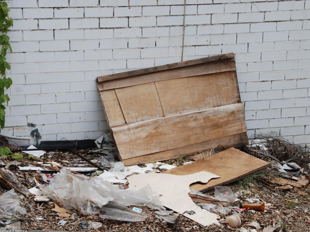 ជីវិតប្រកបដោយចីរភាពជាមួយស្លុតហ្វីស