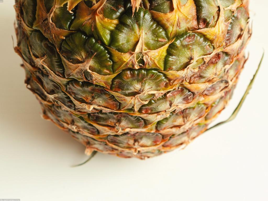 ស្លុតហ្វីស: ការពពណ៌នាអំពីអត្ថន័យនិងប្រយោជន៍