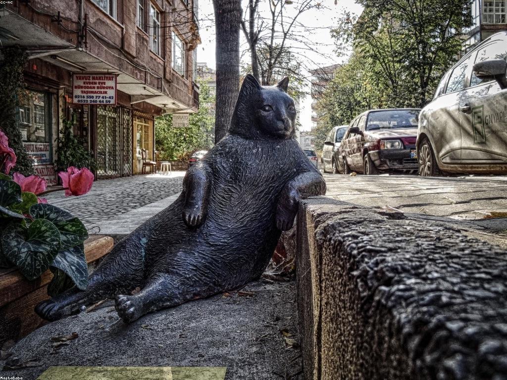 ស៊ូស្វែងរកវប្បធម៌ស្លុតហ្វីស