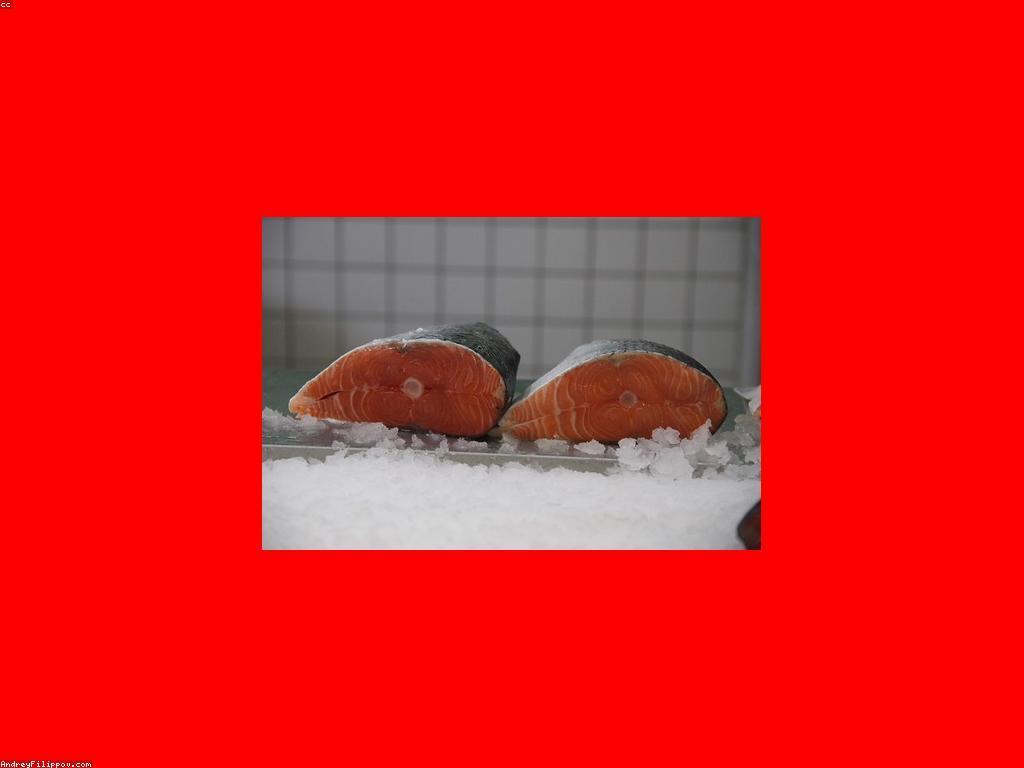 ព័ត៌មានដ៏សំខាន់ក្នុងការទិញ-លក់